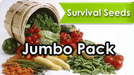 Jumbo Seed Pack